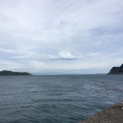 サビキ、フカセ