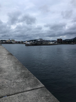 タチウオ求めて