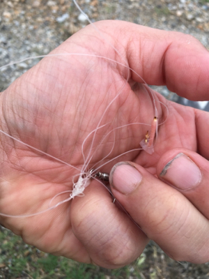 【要注意!!】針・糸放置の被害発見