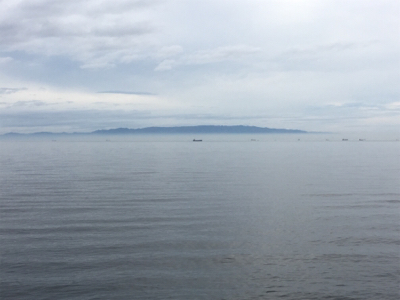 貝塚ライトゲーム