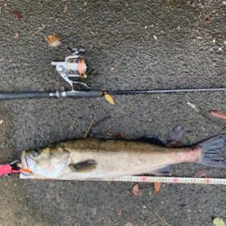 今日も早起きして(^^)v