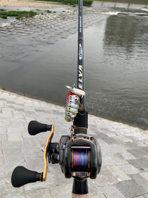 夕まづめにナマズゲーム