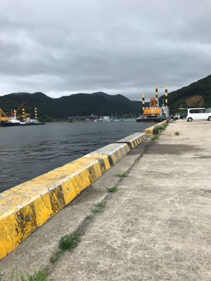 久しぶりのサビキ釣り(^^)