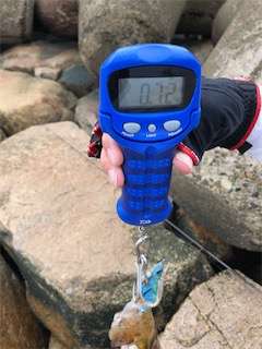 泉南‼️夏‼️エギング‼️