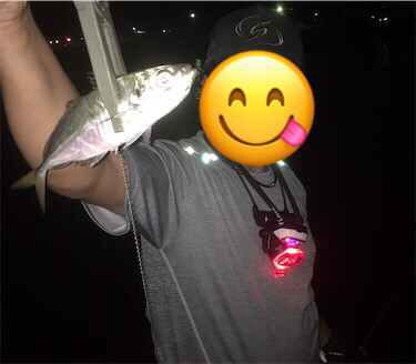 夕まずめアジングゲーム☆GUNNING-STYLE