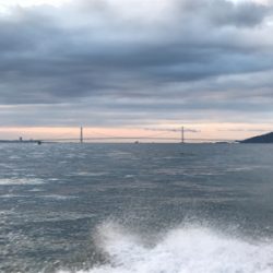 ビックファイター釣行 ジギング タコ便