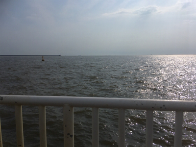 夕まずめツバス