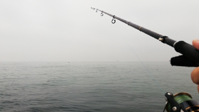 シャローエリアで一投目から…