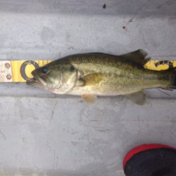 去年より渋くなった!?