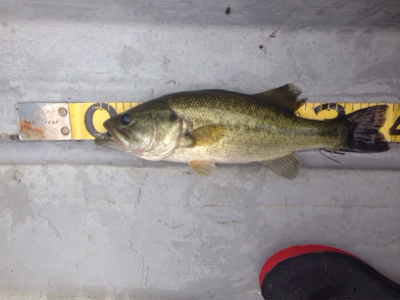 去年より渋くなった!?