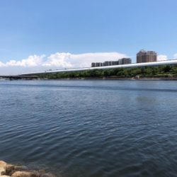 いい濁りで高活性！