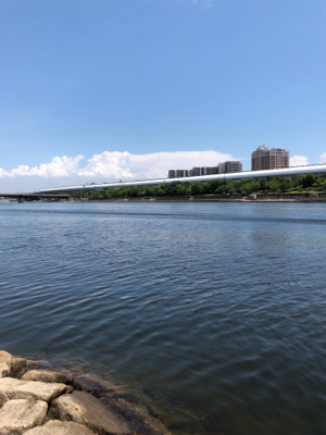 いい濁りで高活性！