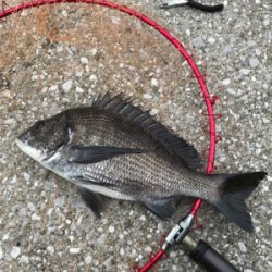 台風通過後の楽しみ！