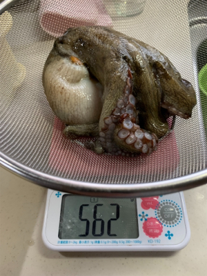 ショアタコ爆発!