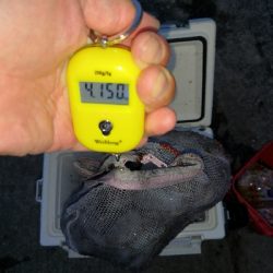 タコまとめて4kg