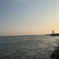 メバリングロッドでツバス