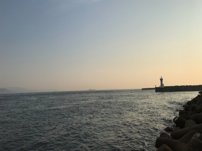 メバリングロッドでツバス