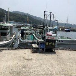 泉州丸さんで五目