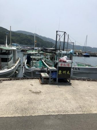 泉州丸さんで五目