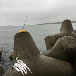 梅雨タチギリギリ