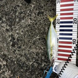 台風の影響あるなー