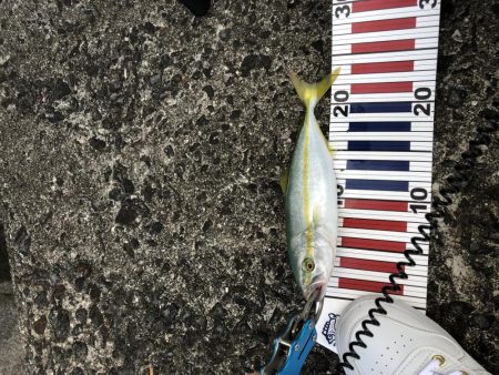 台風の影響あるなー