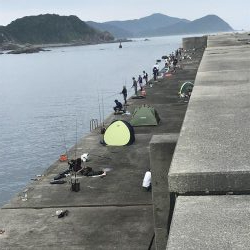 小浦一文字でシーラゲーム