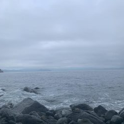 地磯にてアコウ39㎝