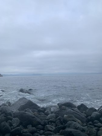 地磯にてアコウ39㎝