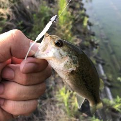 久しぶりのバス釣り