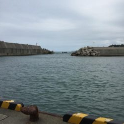 橋津港内チョイ投げ