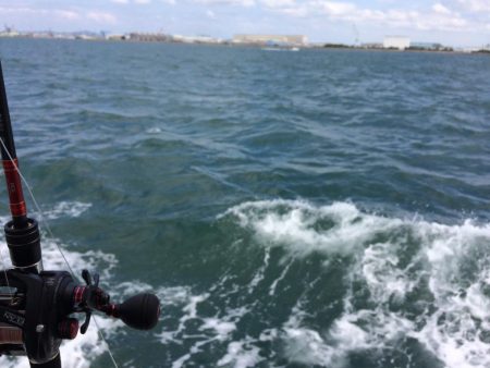 明石マダコ釣り