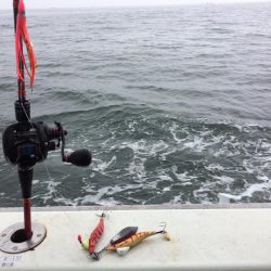 東二見   住吉丸釣果