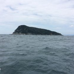 有田  よく釣れてます！