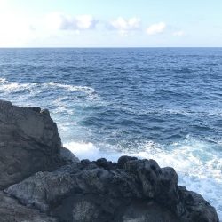 腕がパンパンなんやでぇ…(´ー`;)