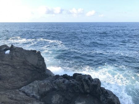 腕がパンパンなんやでぇ…(´ー`;)