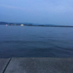 太刀魚ポツポツ