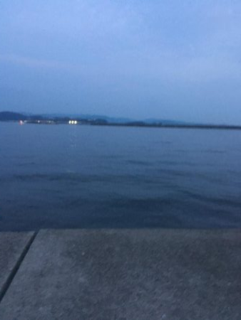 太刀魚ポツポツ