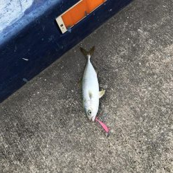 神戸ランガン7月24日