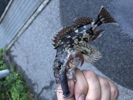 小物釣り