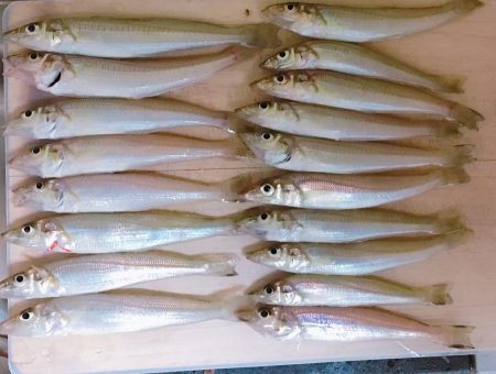 梅雨明けの晴天でキスを求めて