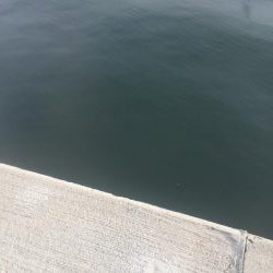 安定のタッチ〜