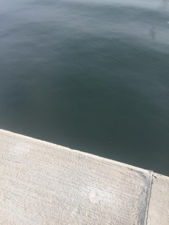 安定のタッチ〜