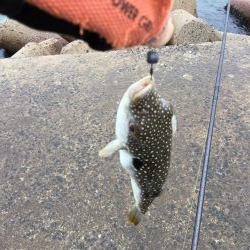 夏のスーパーライトショアジギングSLS