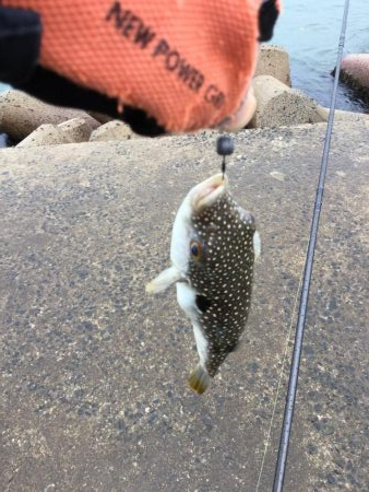 夏のスーパーライトショアジギングSLS