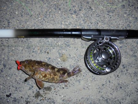 花火大会とは知らず３週連続ならず