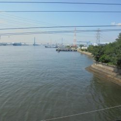 日中前打ち初クロダイ