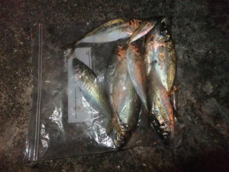 グッドサイズ！