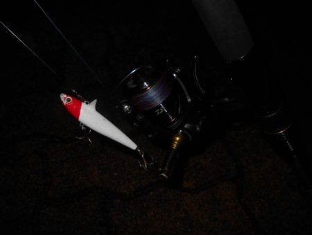 ランカーが暴走!!