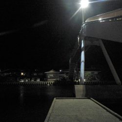 シーバス狙いが